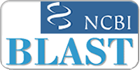 Blast image
