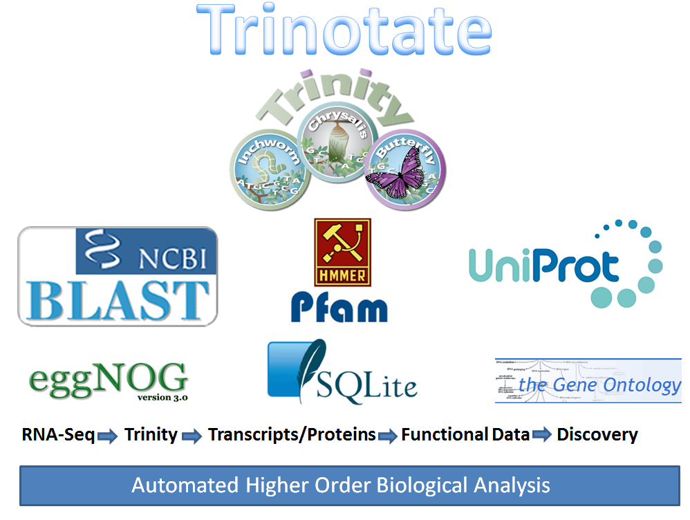 Trinotate image