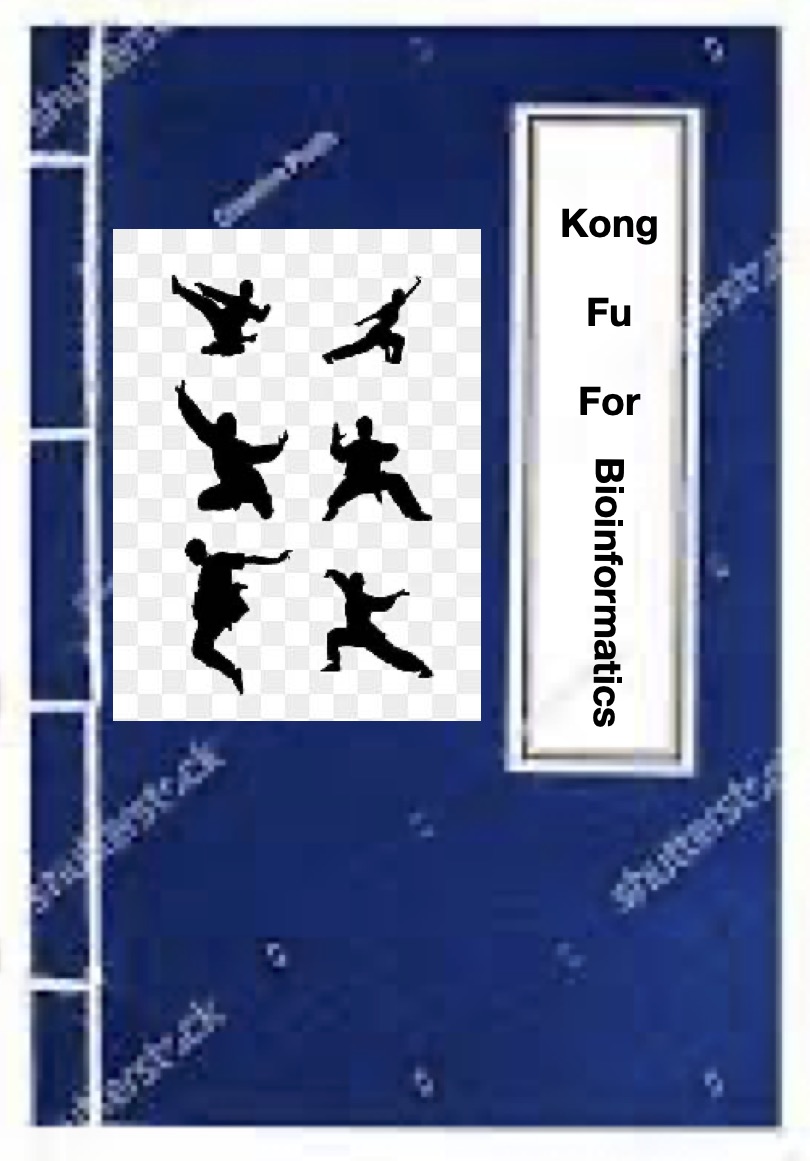kongfu.jpg